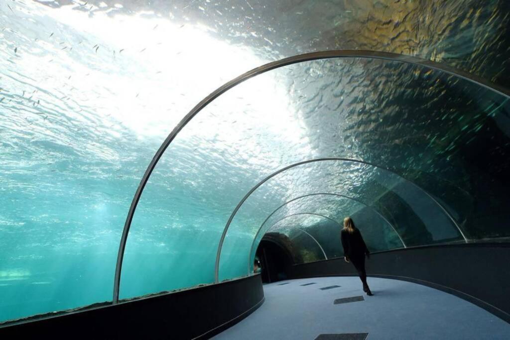 La Perle Marine :Boulogne Sur Mer Kültér fotó